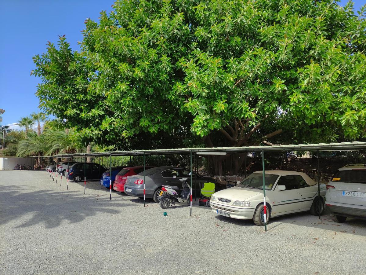 Albir Cosy Apartment El Albir Εξωτερικό φωτογραφία
